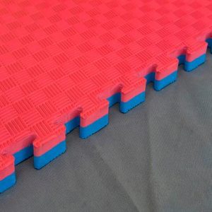 Fitness Mart Karate Mats 1 meter x 1 meter - (1 Piece)